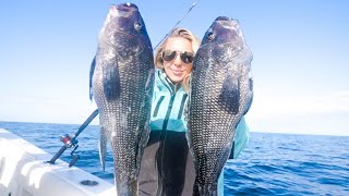 Nonstop Sea Bass Fishing Action  HOW TO  Catch and Cook [upl. by Jaclin861]