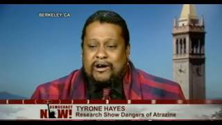 Hazards of Atrazine Herbacide Tyrone Hayes [upl. by Ragas348]