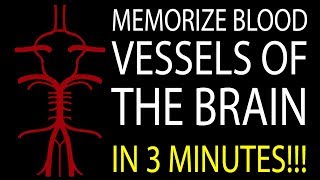 MNEMONIC Brains Blood Supply MEMORIZE in 3 Minutes [upl. by Jackie106]