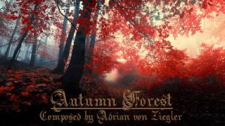 Relaxing Celtic Music  Autumn Forest [upl. by Ayo715]