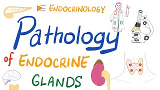 Pathology Basics of Endocrinology [upl. by Yblok86]