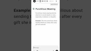 Punctilious Meaning [upl. by Nica53]