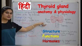 Lymph node evaluation in patient with history of papillary thyroid cancer by Dr Sean Nikravan MD [upl. by Analak]