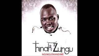 Babusisiwe  Thinah Zungu ft Dumi Mkokstad [upl. by Bundy]