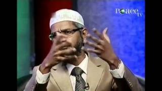 Dr Zakir Naik on Shahrukh Khan [upl. by Lorette589]