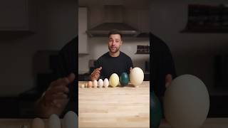 I Cooked the World’s CRAZIEST Eggs [upl. by Austen66]