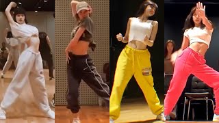 BLACKPINK LISA Dance Practice Compilation [upl. by Portuna]