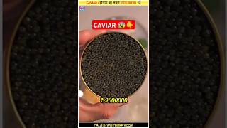 CAVIAR Worlds Most Expensive Food  😱shorts [upl. by Ekaterina]