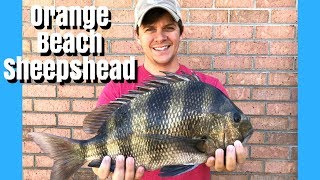 Jetty Fishing for Sheepshead in Orange Beach AL  Perdido Pass Fishing [upl. by Isayg]