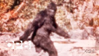 The Film That Made Bigfoot A Star  OPB [upl. by Valry]