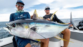 Monster Yellowfin Tuna [upl. by Eelatsyrc]