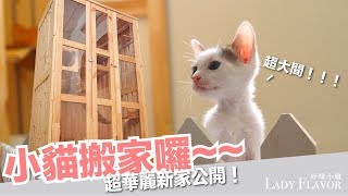 小貓搬家！超大豪華貓屋大公開！【好味貓日常】EP8 [upl. by Shanda344]