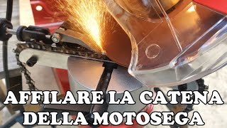 Come affilare la catena della motosega [upl. by Richma846]