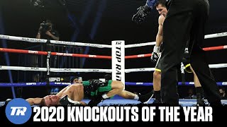 2020 Knockouts of the Year  FIGHT HIGHLIGHTS [upl. by Ytissac363]