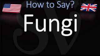 How to Pronounce Fungi [upl. by Abekam]