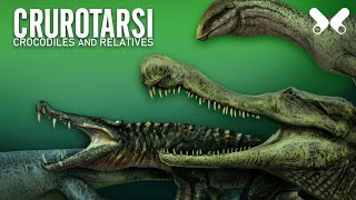 PREHISTORIC CROCODILES AND RELATIVES Size comparison Crurotarsi Pseudosuchia [upl. by Ynnaf]