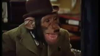 PG Tips Chimps Adverts Full collection [upl. by Novart]