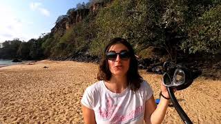 AMAZING Snorkeling experience in the Island Fernando de Noronha Brazil [upl. by Enyawal]