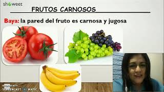 Tipos de frutos [upl. by Braasch]