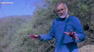 Aravalli  Story of a dying mountain range [upl. by Delilah]