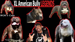 The Top 15 XL AMERICAN BULLY LEGENDS Pitbull Legends [upl. by Rozalin701]